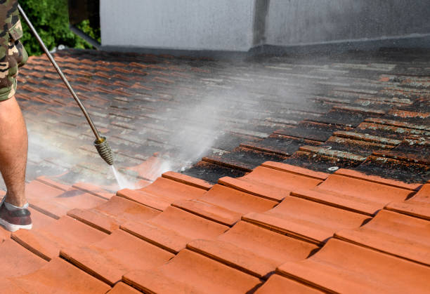 Pressure Washing Services for Businesses in Pinetop Lakeside, AZ