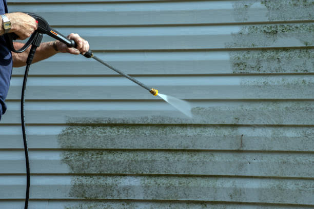 Best Residential Pressure Washing Services  in Pinetop Lakeside, AZ